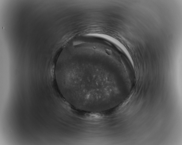 X0000094950475200711291417