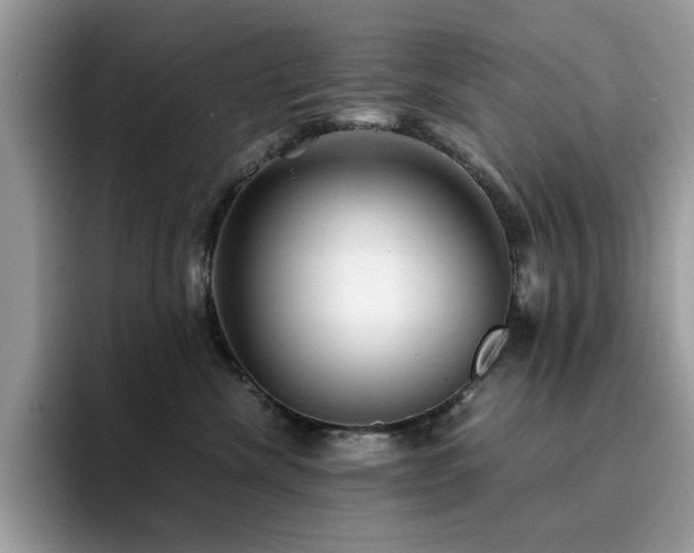 X0000094950476200711291417