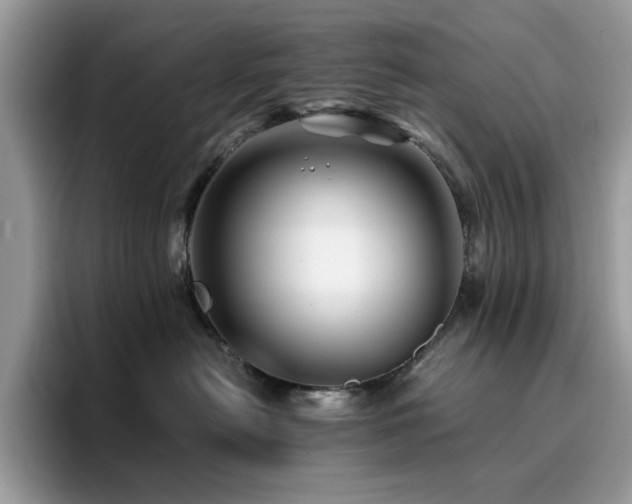 X0000094950478200711291417