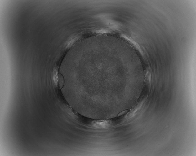 X0000094950479200711291417