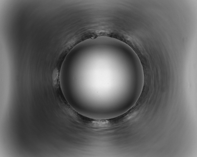 X0000094950480200711291417