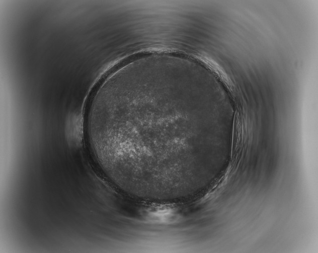 X0000094950484200711291416