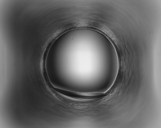 X0000094950485200711291416