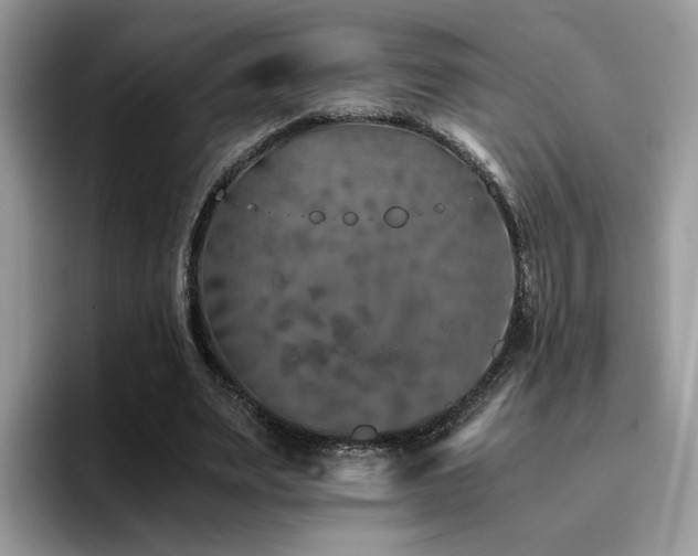 X0000094950487200711291416