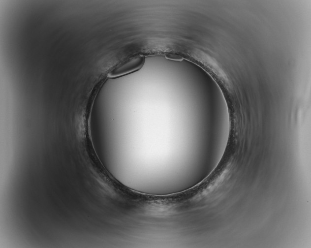 X0000094950489200711291416