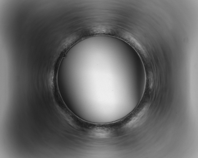 X0000094950490200711291416