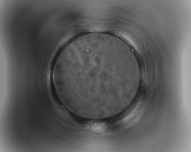 X0000094950491200711291416