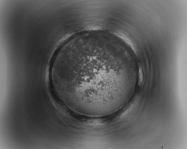 X0000094950492200711291416