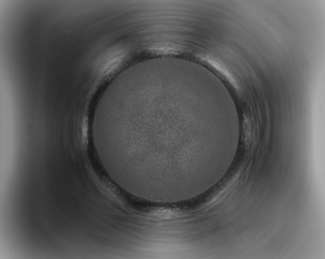 X0000094950494200711291416