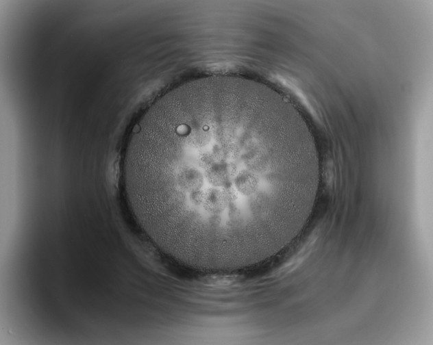 X0000094950495200711291416