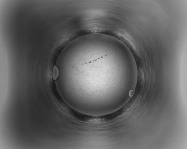 X0000094950499200711291416