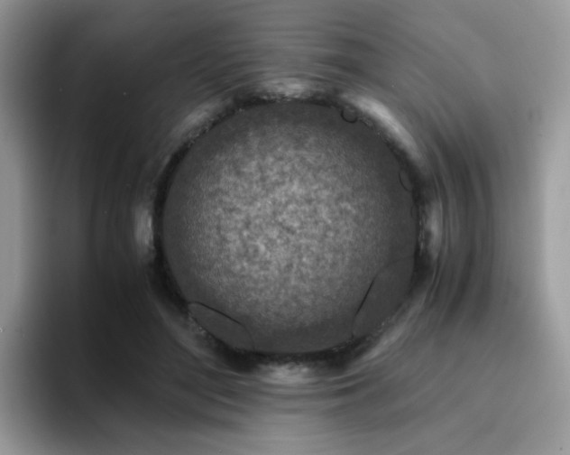 X0000094950500200711291416