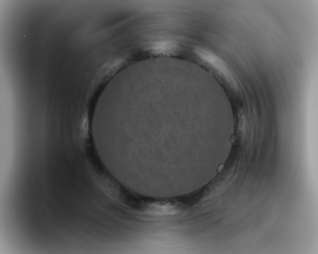 X0000094950502200711291416