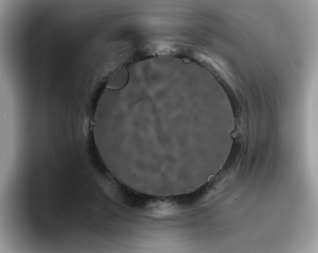 X0000094950503200711291416