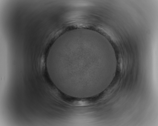 X0000094950506200711291416