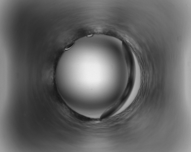 X0000094950509200711291416