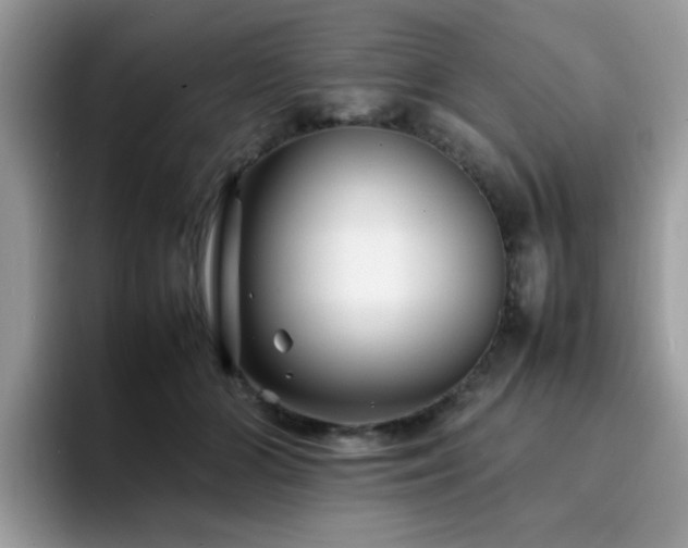 X0000094950510200711291416