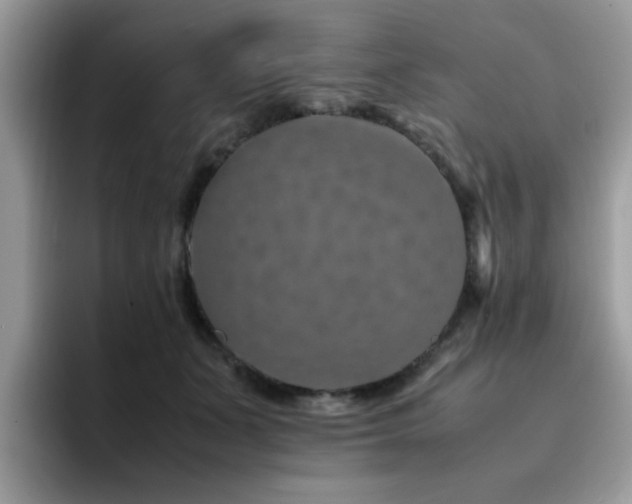 X0000094950511200711291416