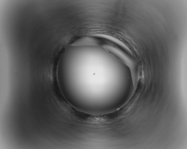 X0000094950512200711291416