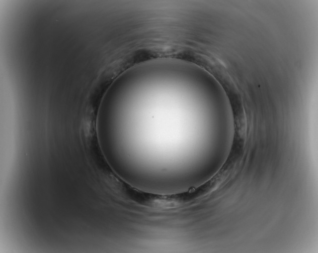 X0000094950515200711291416