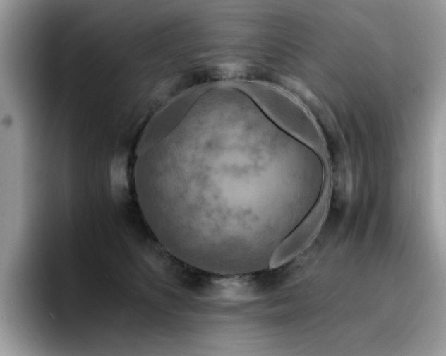 X0000094950516200711291416