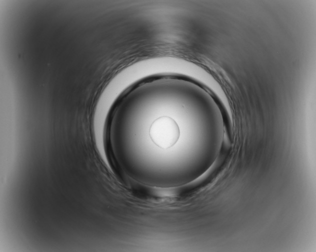 X0000094950517200711291416