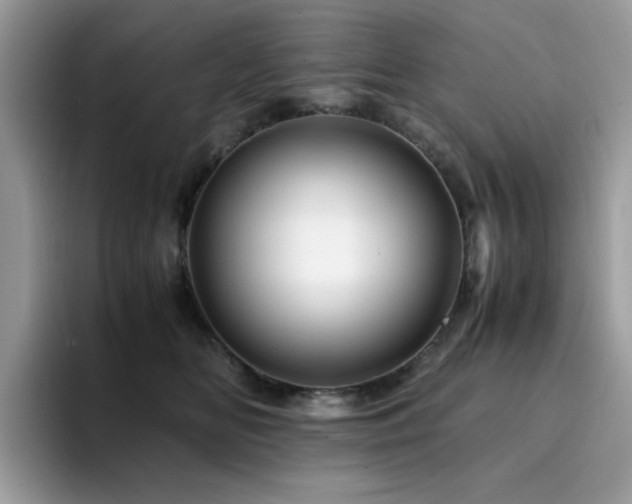 X0000094950518200711291416