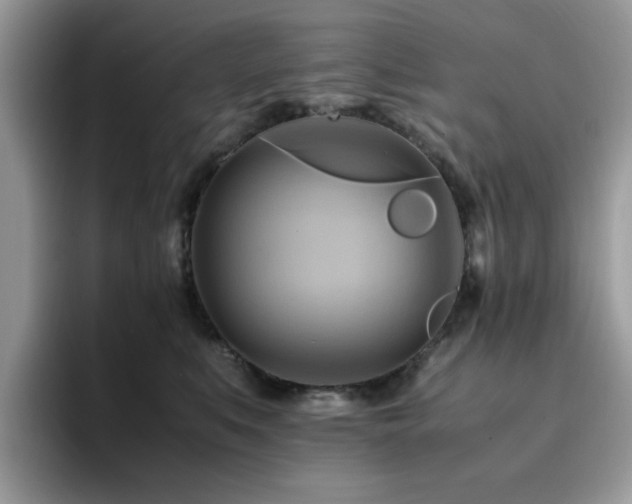 X0000094950519200711291416