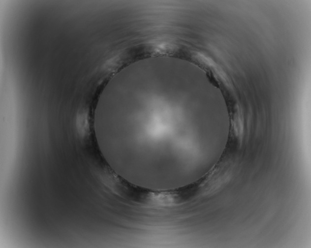 X0000094950520200711291416