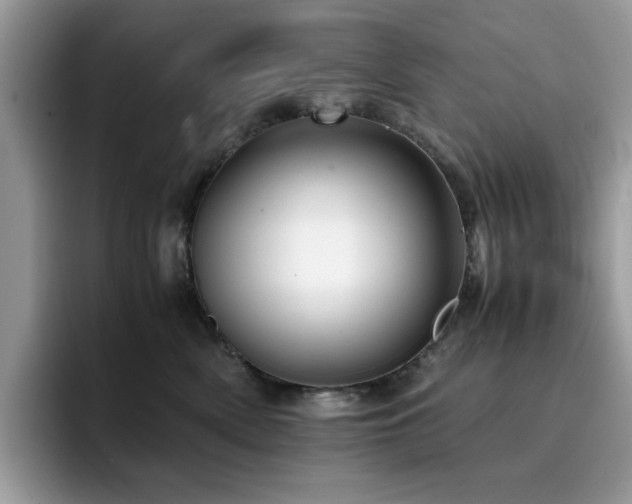 X0000094950522200711291416