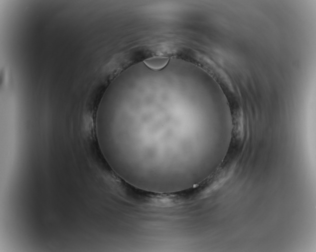 X0000094950523200711291416