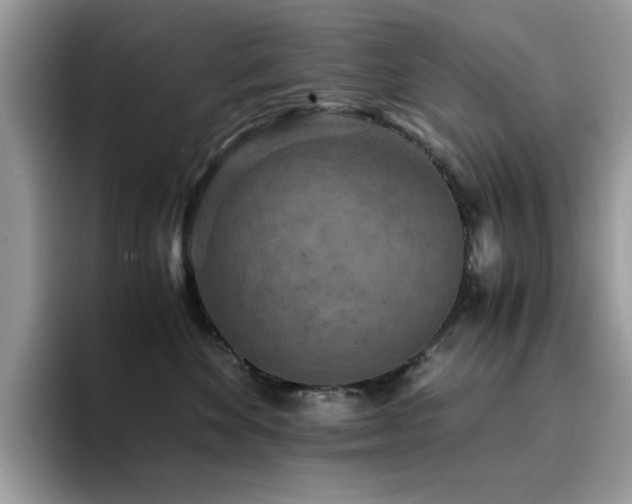 X0000094950524200711291416