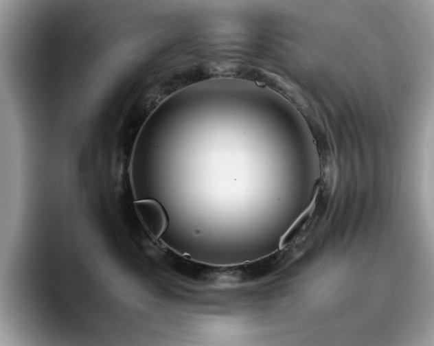 X0000094950525200711291416