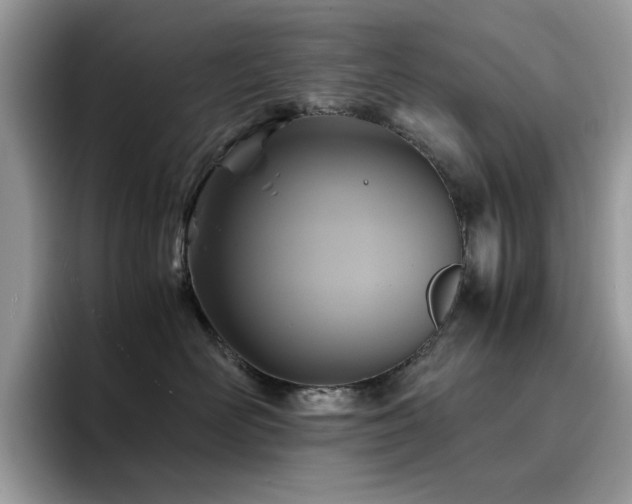 X0000094950526200711291416