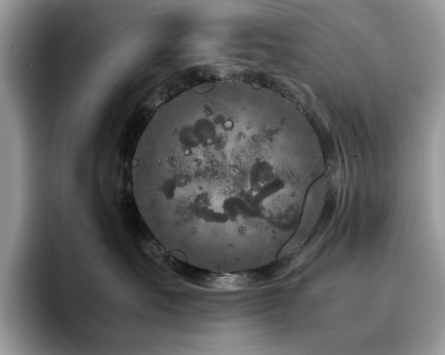 X0000094950527200711291416