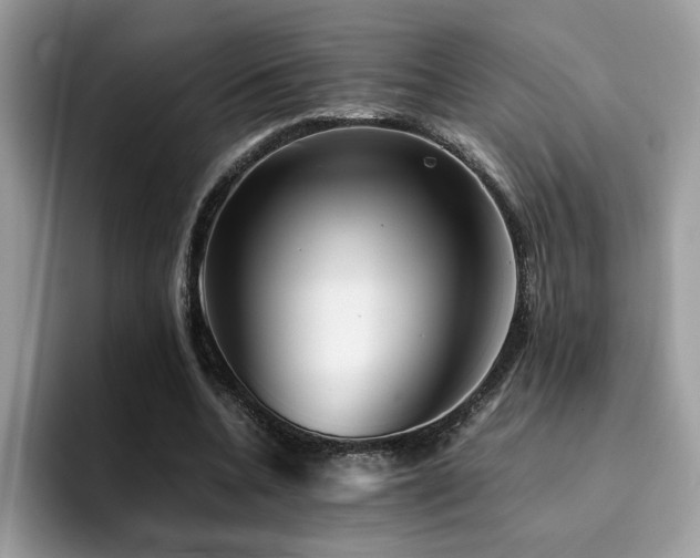 X0000094950536200711291415