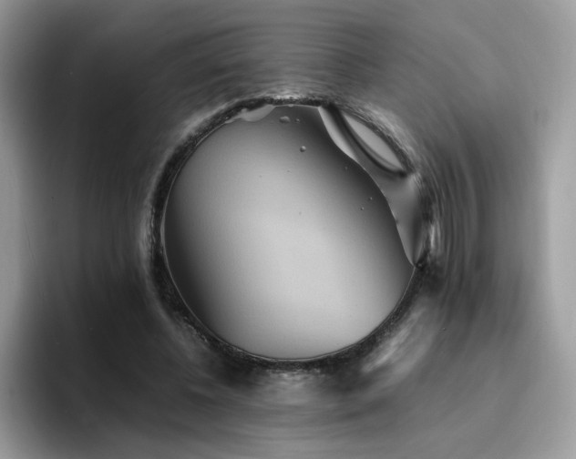 X0000094950540200711291415