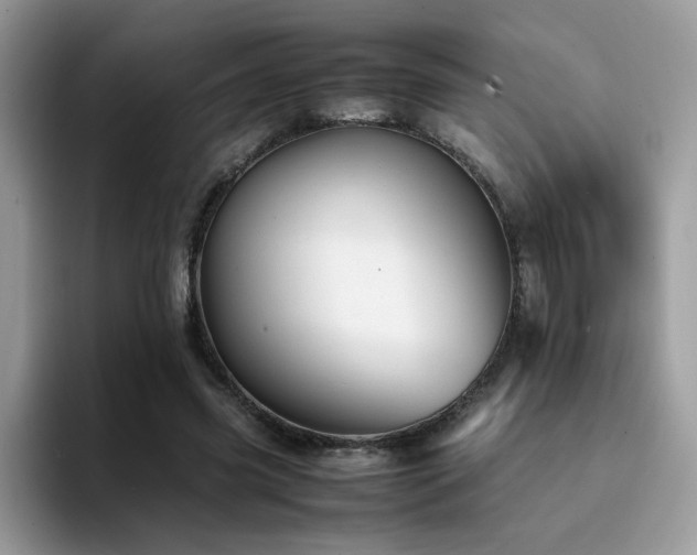 X0000094950541200711291415