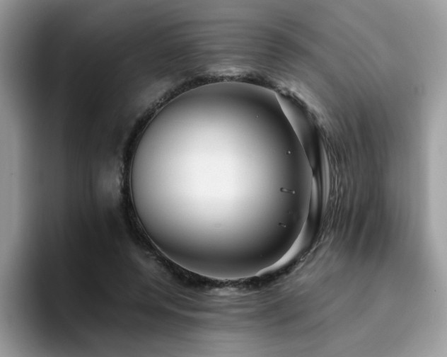 X0000094950544200711291415