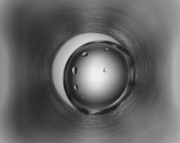 X0000094950546200711291415