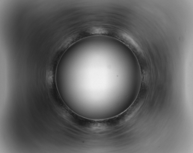 X0000094950549200711291415