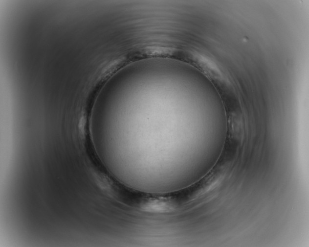 X0000094950550200711291415