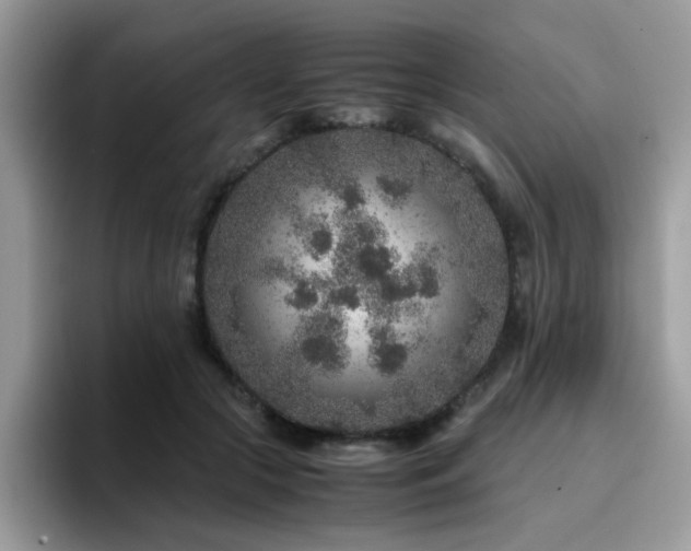 X0000094950553200711291415