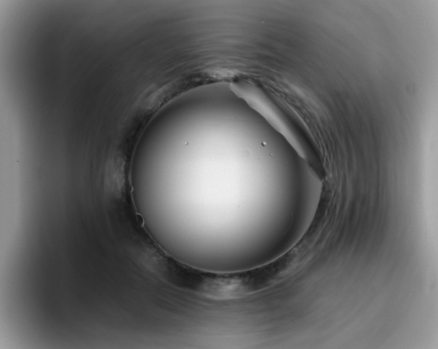 X0000094950554200711291415