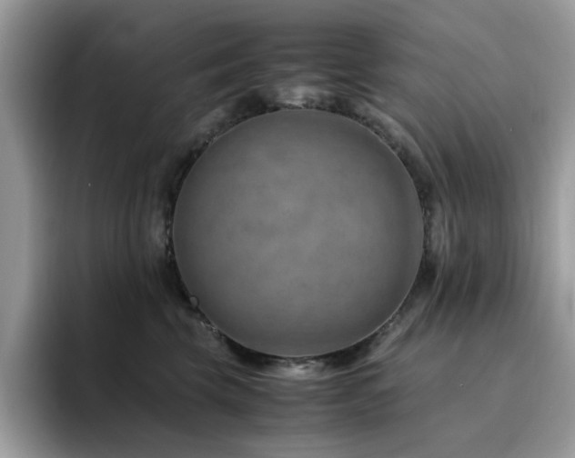 X0000094950569200711291416