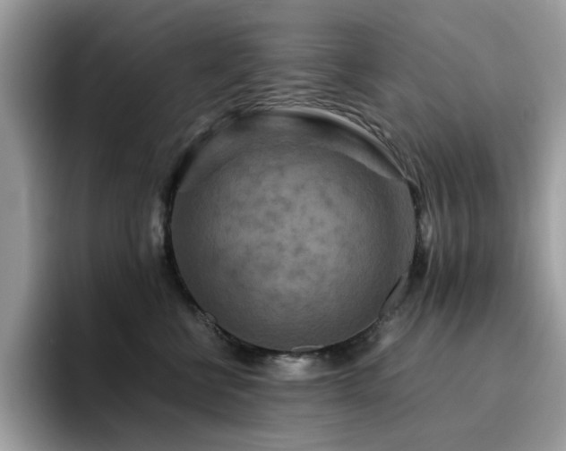 X0000094950570200711291416