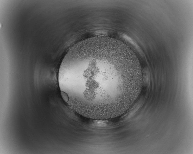 X0000094950573200711291416