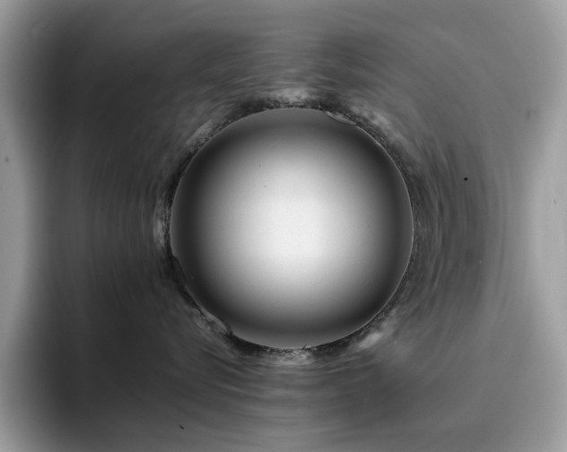 X0000094950576200711291416