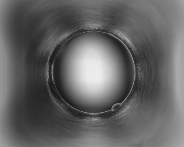 X0000094950582200711291415