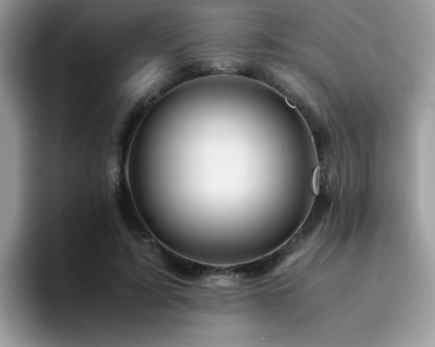 X0000094950595200711291415